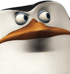 File:Skipper mugshot.png