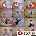 Thumbnail for version as of 23:25, May 13, 2011