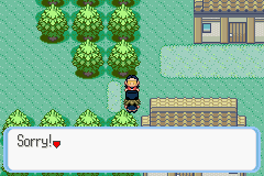 File:Pokemon Quartz176.png