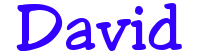 File:Davidlogo.png
