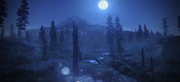 Bf3 night thumb