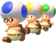 Toad-brigade model CTTT