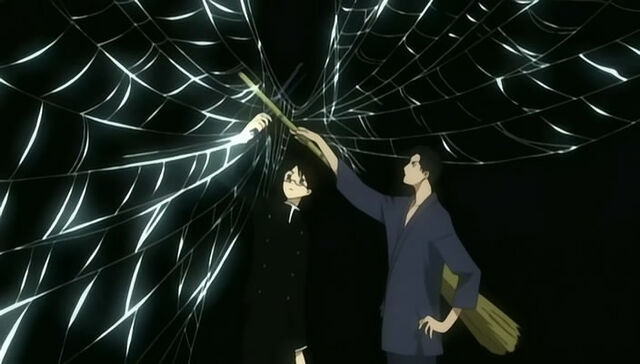 File:The Spider Web.jpg