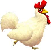 CuccoSSB4