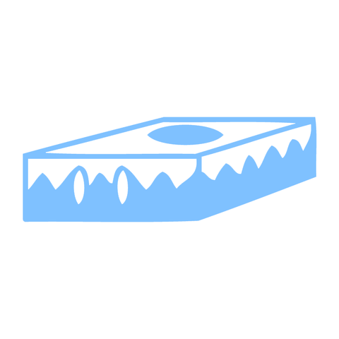 File:AASPP.png
