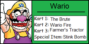 File:Wario mk1.png