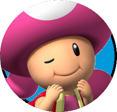 File:ToadettePowerz.png