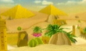 Birdo Dry Desert