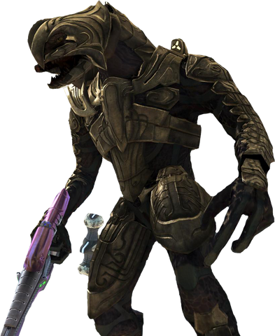 File:Arbiter.png