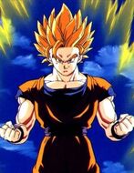SUPER SAIYAN GOKU