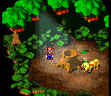 Forest Maze