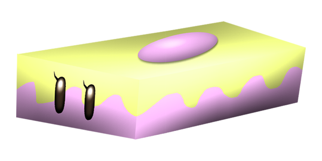 File:PushyFemale3D.png