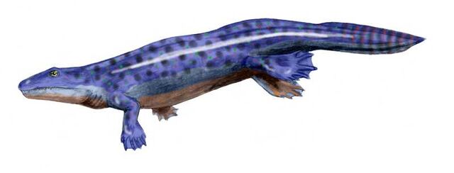 File:Ichthyostega BW.jpg
