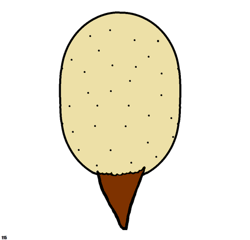 File:BeardedPotato.png