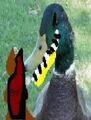 Thumbnail for version as of 23:49, August 10, 2011