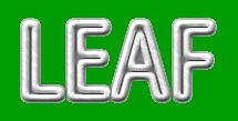 File:LeafBoB.jpg