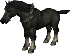 File:Dark Horse.png