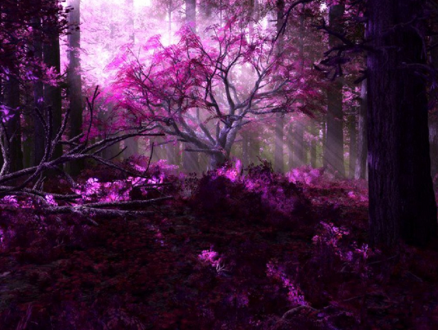 File:Purple Forse.png