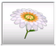 File:Flower Glider.png