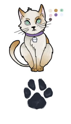 File:Fantensocks.png