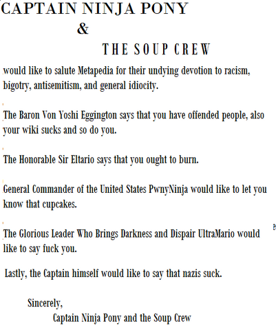 File:Captain Ninja Pony.png