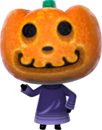 Jack NL