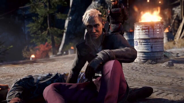 Файл:FarCry401.jpg