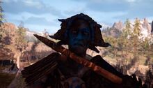 Roshani