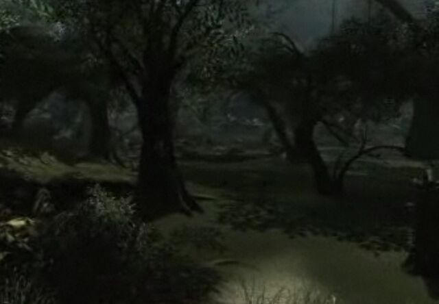File:Swamp 1.jpg