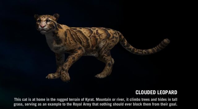Plik:CloudedLeopard page.jpg
