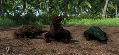 Blood Komodo