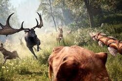 Fcprimaldeer