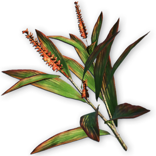 FC3 cutout goodluckplant