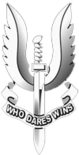 File:Wiki-Preview.png