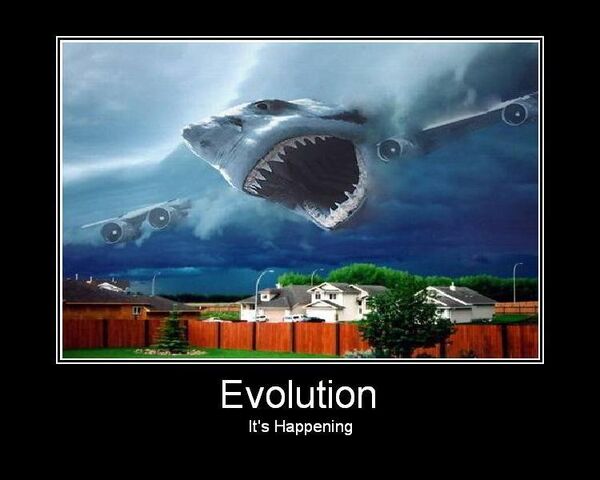 File:EvolutionSharkPlane.jpg