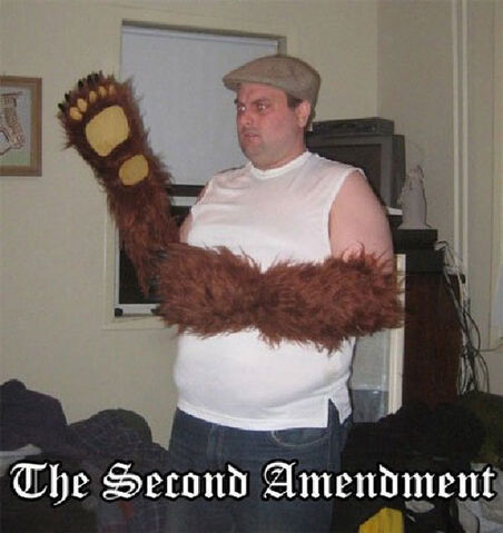 File:69 bear arms.jpg