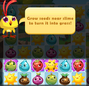 Seeds and slime