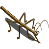 Stick Bug-icon