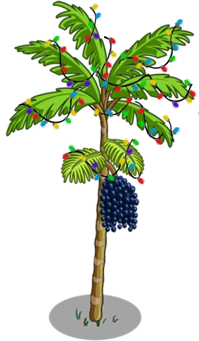 Arquivo:Acai6-icon.png