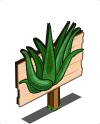 Soubor:MasteryAloeVera.png