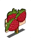 Soubor:MasteryRaspberries.png