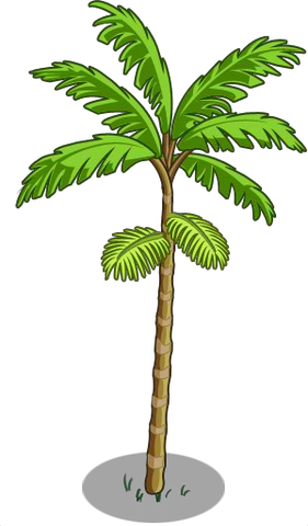 Soubor:Acai1.png