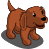 mahogany golden retriever puppies golden retriever puppy farmville wiki fandom powered by wikia mahogany golden retriever puppies golden retriever puppy farmville wiki fandom powered by wikia