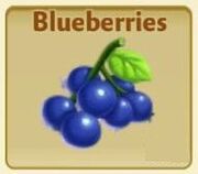 Blueberries