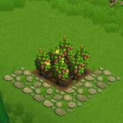 RedGrapeField
