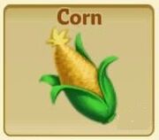 Corn