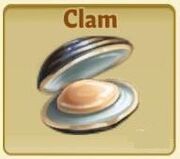 Clam