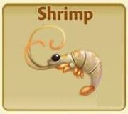 Shrimp