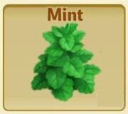 Mint