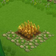 WheatField